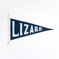 Lizard